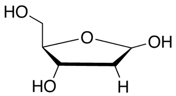 subgenix bio ribose powder